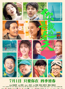 BD国语全集免费观看